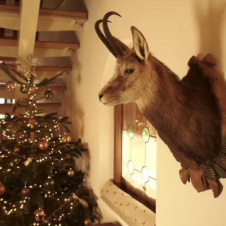 Vendégház Und Marie Leutasch